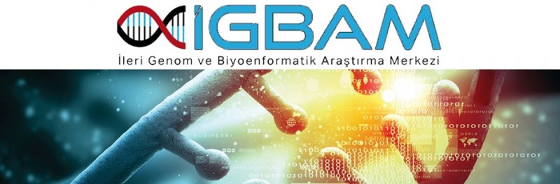 İGBAM Altyapı Projesi Başarıyla Tamamlandı